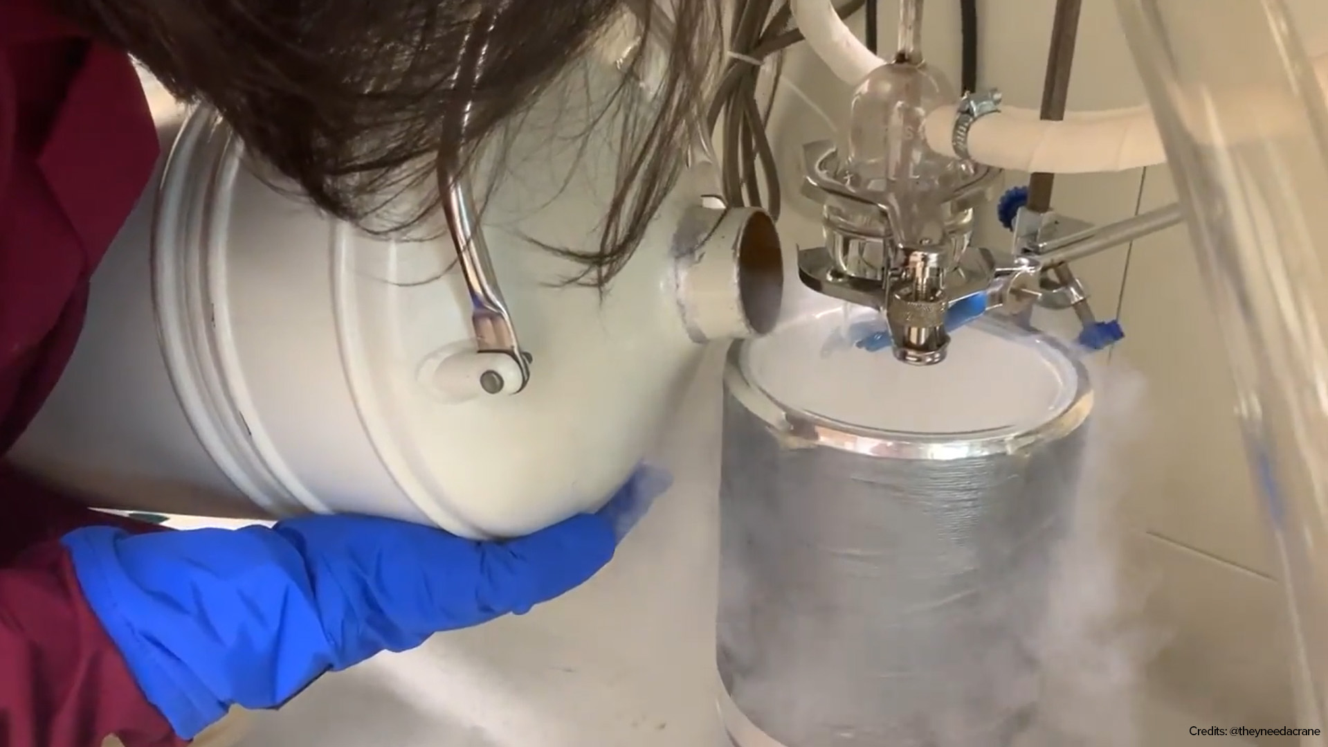 Screenshot 2026-02-25 101002 (1) Adding Liquid Nitrogen